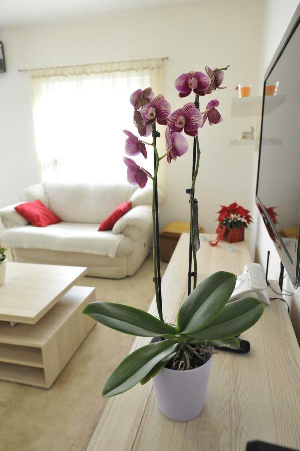 Vlatka Apartman Split Extérieur photo